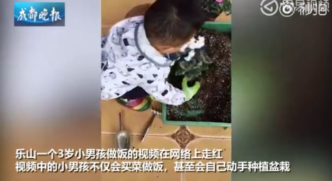 3歲男孩做飯拿手 家長稱沒有刻意培養(yǎng)