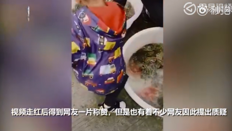3歲男孩做飯拿手 家長稱沒有刻意培養(yǎng)
