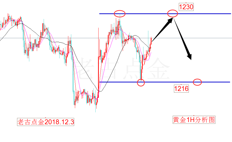 12.3老古点金:黄金震荡上瘾了!原油止跌信号出现