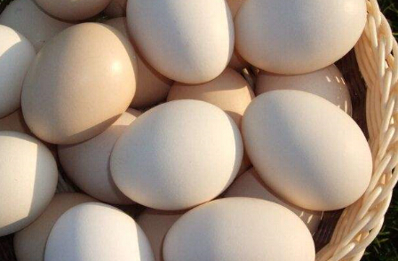 鸡蛋消费需求启动 期货价格或将出现拉升