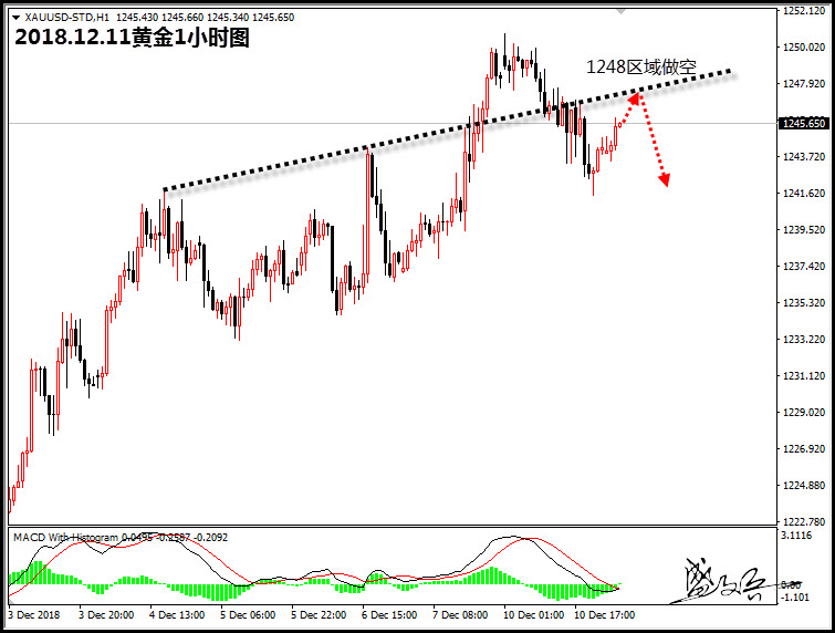 12.11盛文兵:黄金1248区域承压做空 原油关注51.8区域的阻力