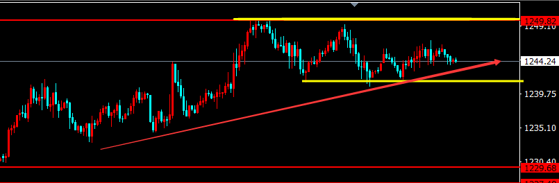 12月13日《陈阿牛》:黄金继续守空 横盘不破无需多
