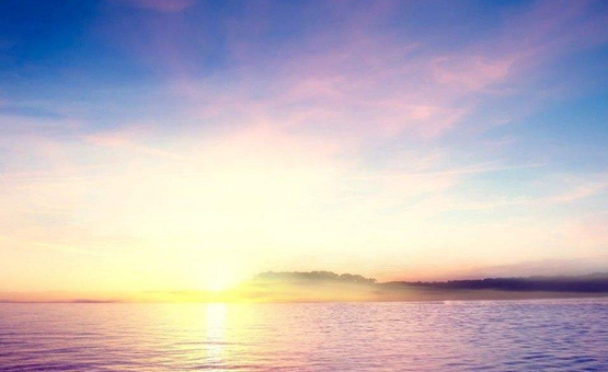 2018年价值投资似乎遭遇了瓶颈 2019年股市会怎么走?