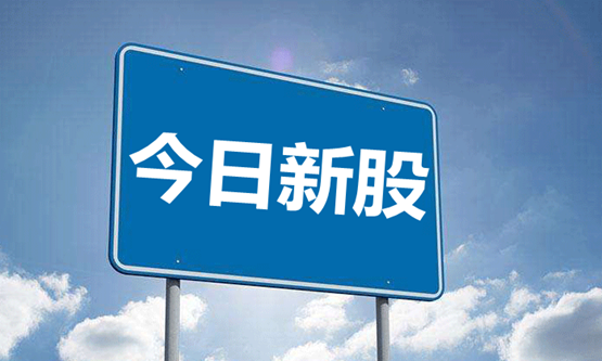 今日新股申购一览表（2018年12月18日）附打新攻略