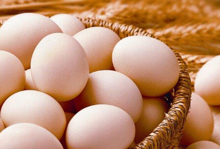 预计短期内鸡蛋价格料继续稳中震荡