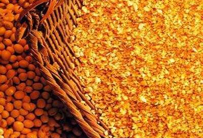 利好驱使国内豆粕价格重心有望继续抬升