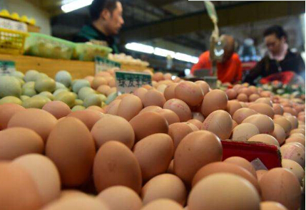 春节临近预计鸡蛋现货后期反弹空间有限