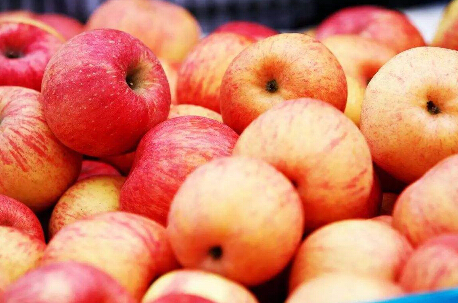 现货价格维持稳定 短期苹果期货低位震荡概率较大