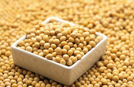 全球丰产大格局已定 大豆、豆粕中远期看跌