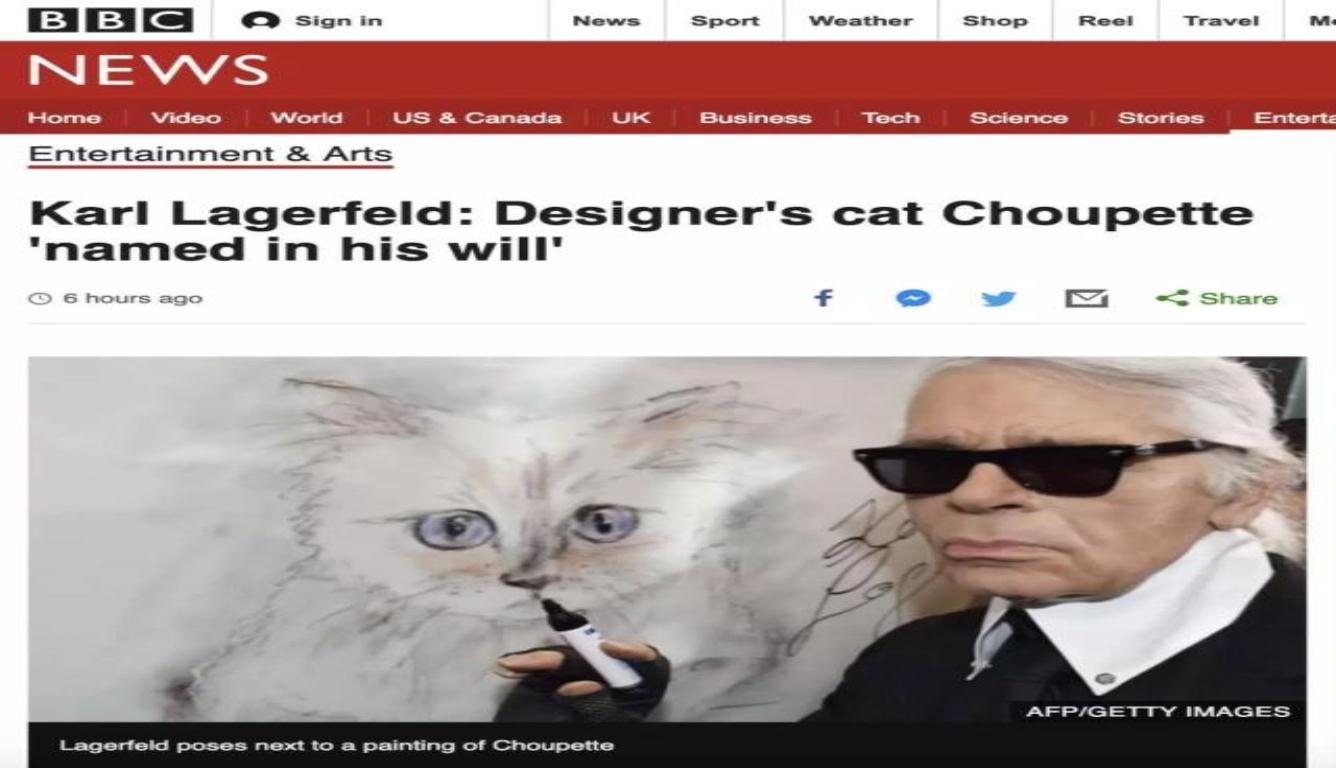 老佛爷遗产由猫继承 曾数次对外宣称遗产要留