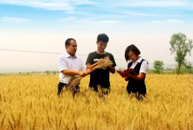 期货服务“三农”绘就新蓝图 提升国际定价权