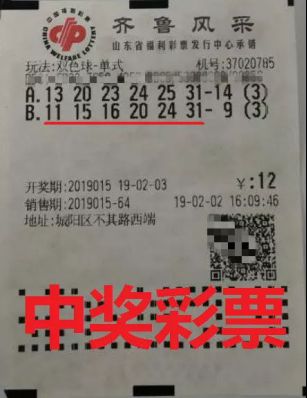 六合彩官网 - 实时开奖、精准预测、专业分析今日福彩3D深度解析与专家推荐动态数字组合分析（2025年11月21日）