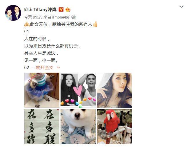 向太官宣向佐恋情 为两人合照加爱心