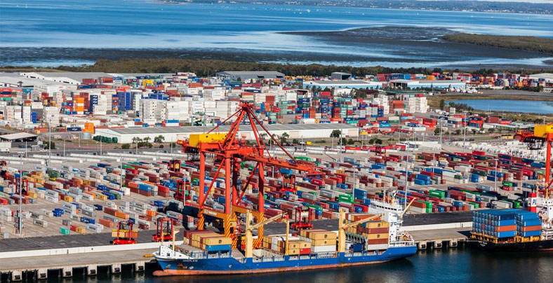 商品普遍回暖 多品种创阶段新高