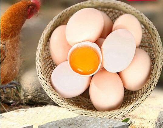 需求旺季将至支撑鸡蛋期货反弹