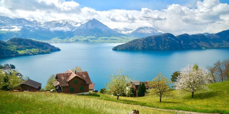 be6ea547f9337abd788beff367a5eff1.jpg?_=1552958607438