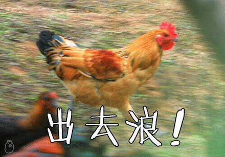 “小学鸡”是什么意思