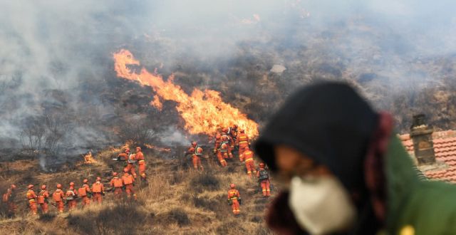生活百科：山西沁源森林大火原因是什么知识！