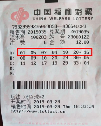 官网合法彩票平台- 北京赛车- 时时彩- 体彩- 六合彩“福彩圆梦 创‘益’未来”视频征集暨山东福彩就业创业政策推介活动在东营举行