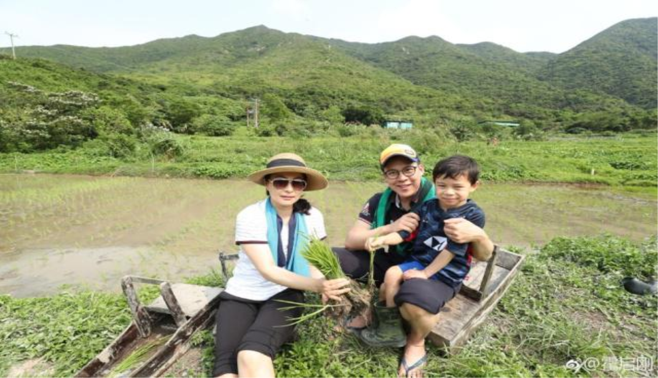 霍启刚郭晶晶带儿子插秧 领悟农民伯伯的辛苦