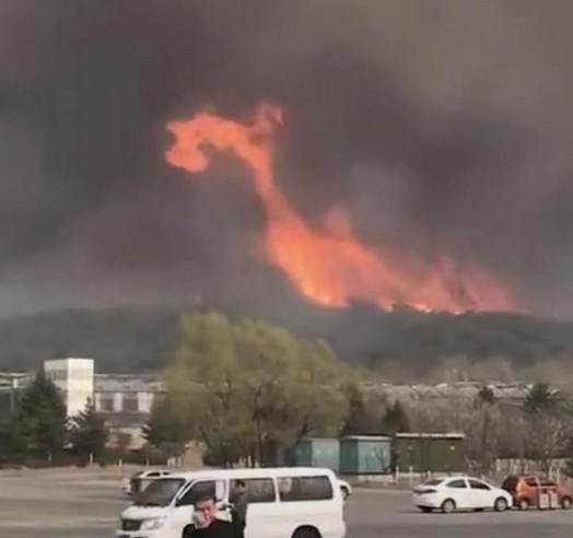 沈阳棋盘山着火原因是什么