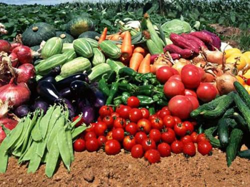 未来10年农产品价格总体趋涨 猪肉价格下半年很可能大幅上涨