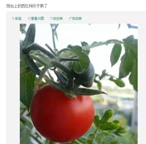 刘强东案件女方长什么样子(刘强东案件女方长什么样子 视频)