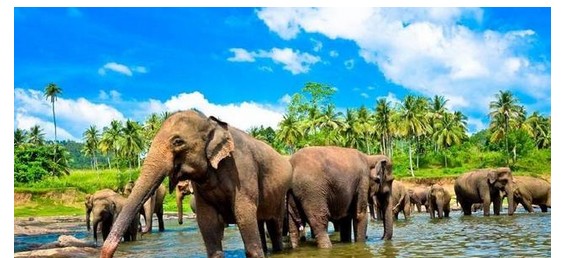 斯里兰卡旅游安全吗；关于斯里兰卡旅游安全吗