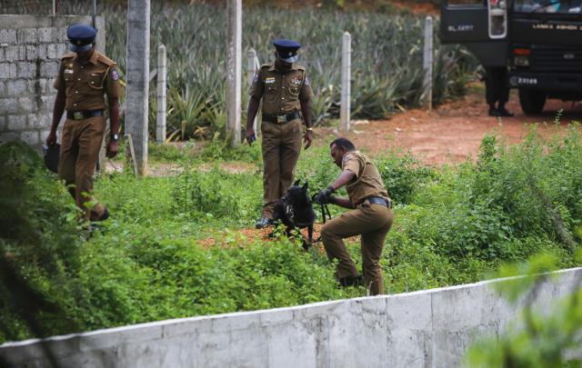 斯里兰卡为什么爆炸；关于斯里兰卡为什么爆炸