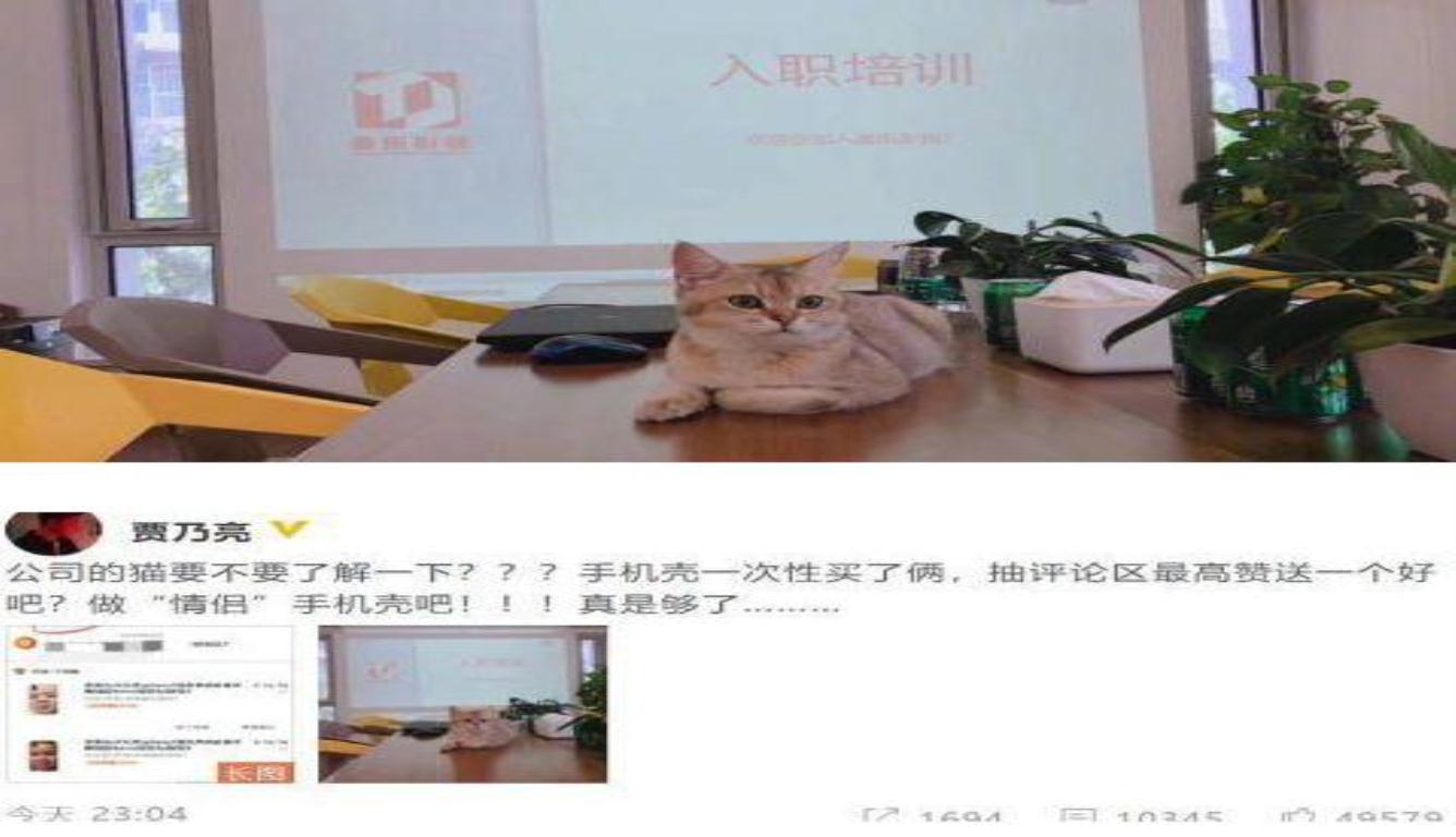 贾乃亮谈与金晨恋情:真的是够了