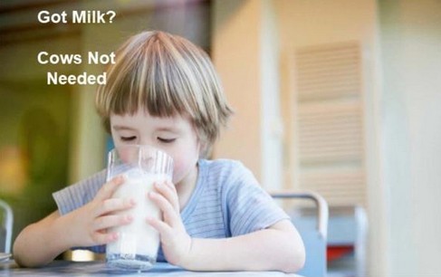 人造奶是什么？教程；入门人造奶是什么？