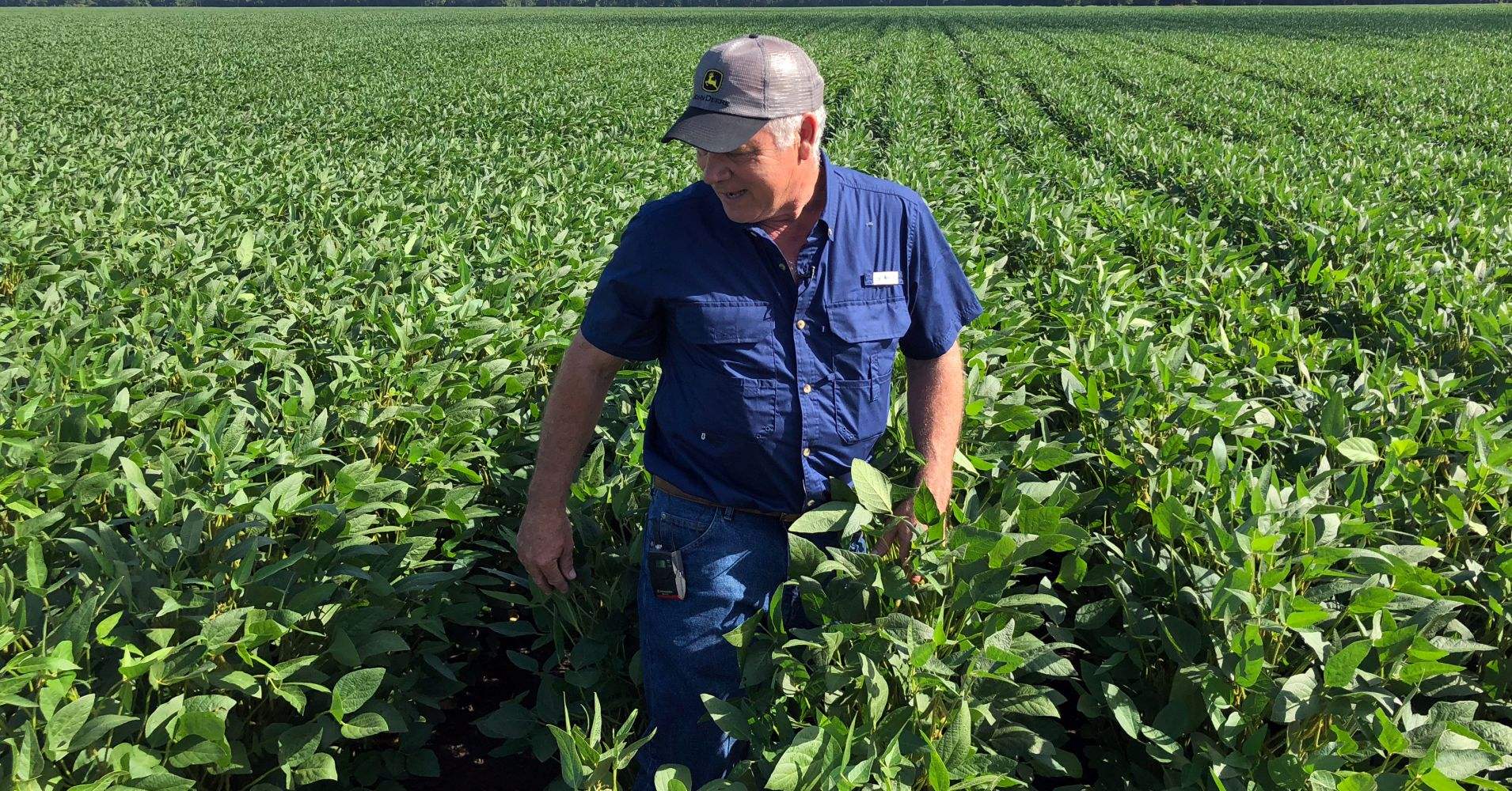 美国农民援助计划再实施 民众:"政府支票不能替代失去的市场"