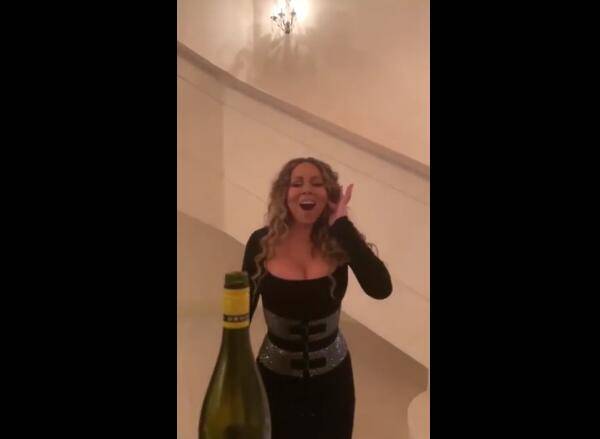 凯莉海豚音开瓶盖什么原理_凯莉包是什么牌子