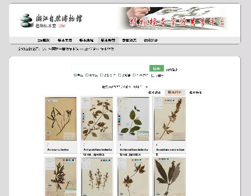 浙江自然博物院数字植物标本馆官网上线