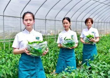 靠一道辣椒炒肉开出33家直营店 费大厨做对了什么?