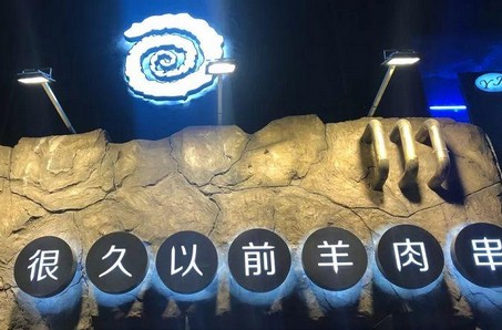 对话宋吉:创业本是千死一生 大海里求差异