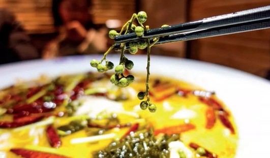 这个吃货花10年腌出一坛酸菜!如今开店卖酸菜鱼