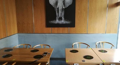 从亏到没人接盘到排行榜第一 书芙蓉是如何逆风翻盘的?