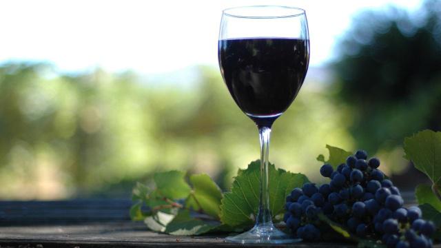 世界上最大的葡萄酒生产国你知道是哪吗？