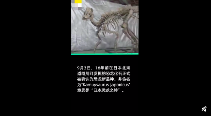 日本确认恐龙新物种 团队将新物种起名为日本龙神