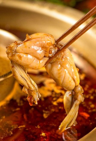 一天卖掉2000只蛙 哥老官美蛙鱼头火了!