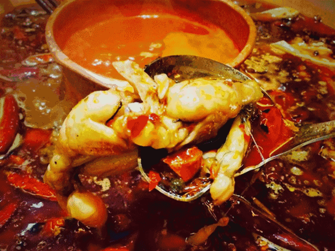 一天卖掉2000只蛙 哥老官美蛙鱼头火了!