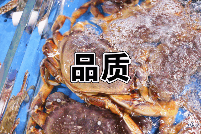 从大排档到餐饮标杆 徐记海鲜都做了什么?