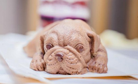 沁园推出休闲小蛋糕系列 这么“萌”怎么舍得吃!