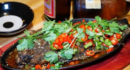 4个月连开20家门店 黄同茄烧烤的网红烤茄子有多好吃?