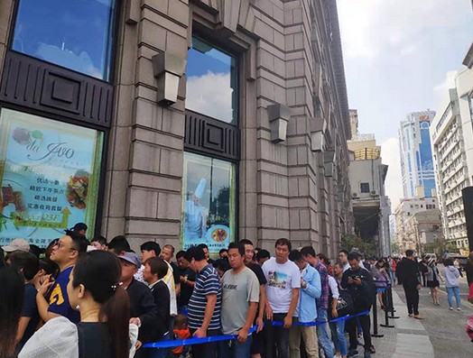 麦吉奶茶上海开业了 黄牛炒到300元一杯!