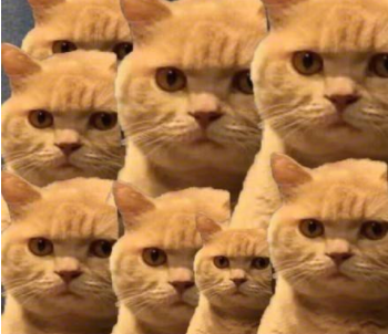 发生了什么?对冲基金正以6个月来最快的速度减持黄金多头!