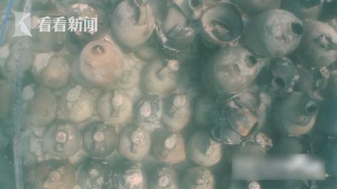 西班牙考古队发现千年前的番茄酱