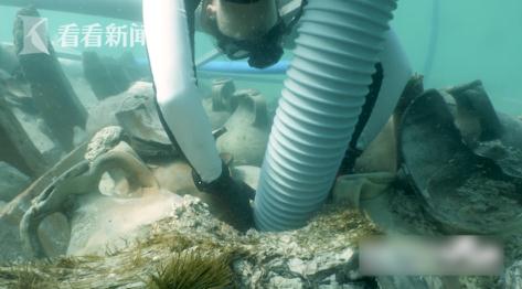 西班牙考古队发现千年前的番茄酱