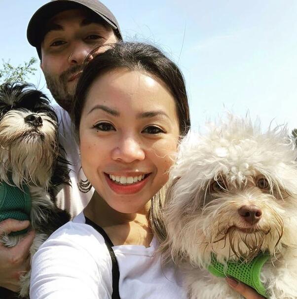 小狗长着一张人脸 这种混血狗狗非常受欢迎